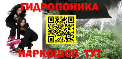 mdma Кингисепп